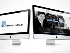 Horwitz Group Website
